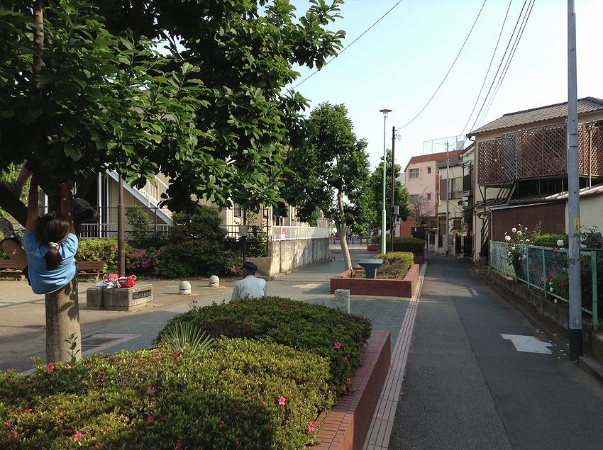 f:id:blepharisma:20150603193100j:image