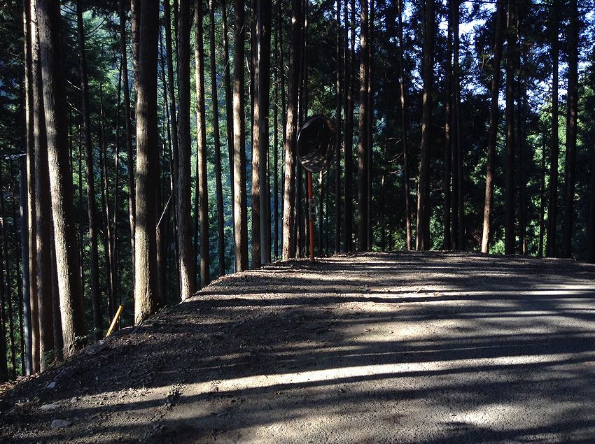 f:id:blepharisma:20150611171845j:image
