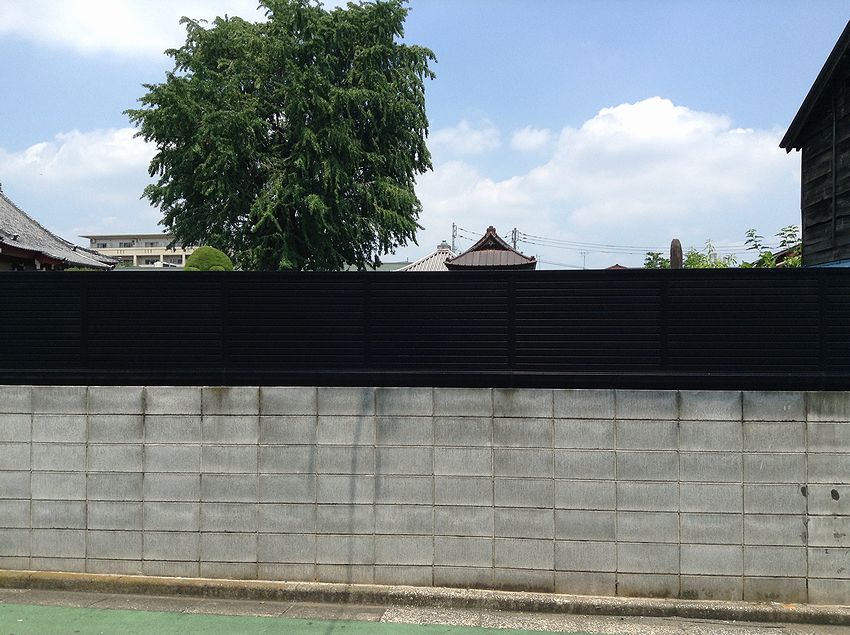 f:id:blepharisma:20150619155404j:image