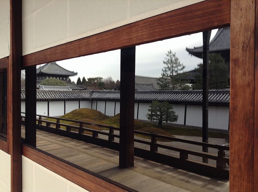 f:id:blepharisma:20150709184617j:image