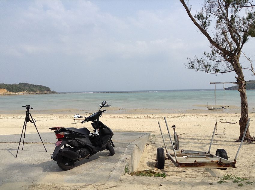 f:id:blepharisma:20150727160044j:image