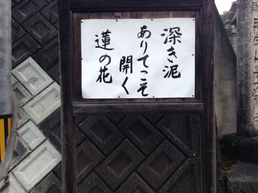f:id:blepharisma:20150731191042j:image