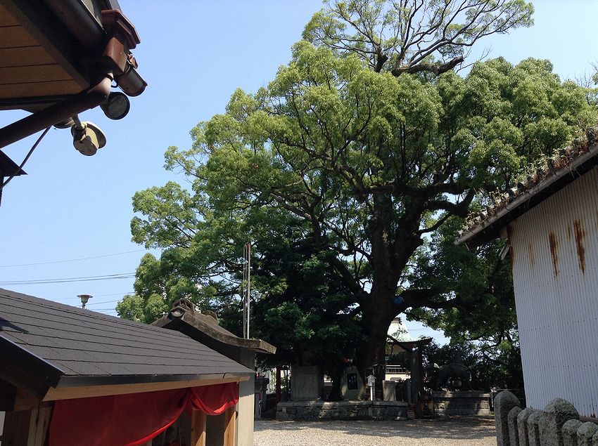 f:id:blepharisma:20150908151633j:image