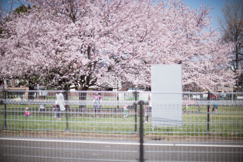 f:id:blepharisma:20151207085806j:image