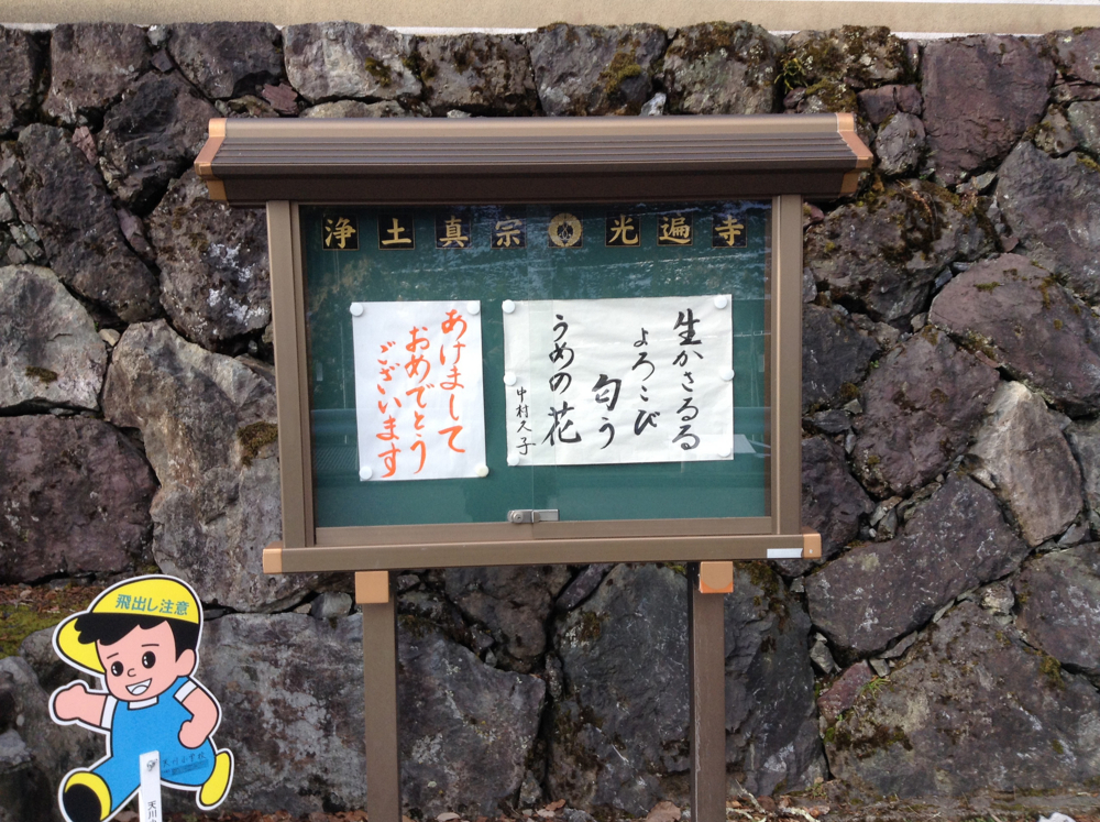 f:id:blepharisma:20160101085937j:image