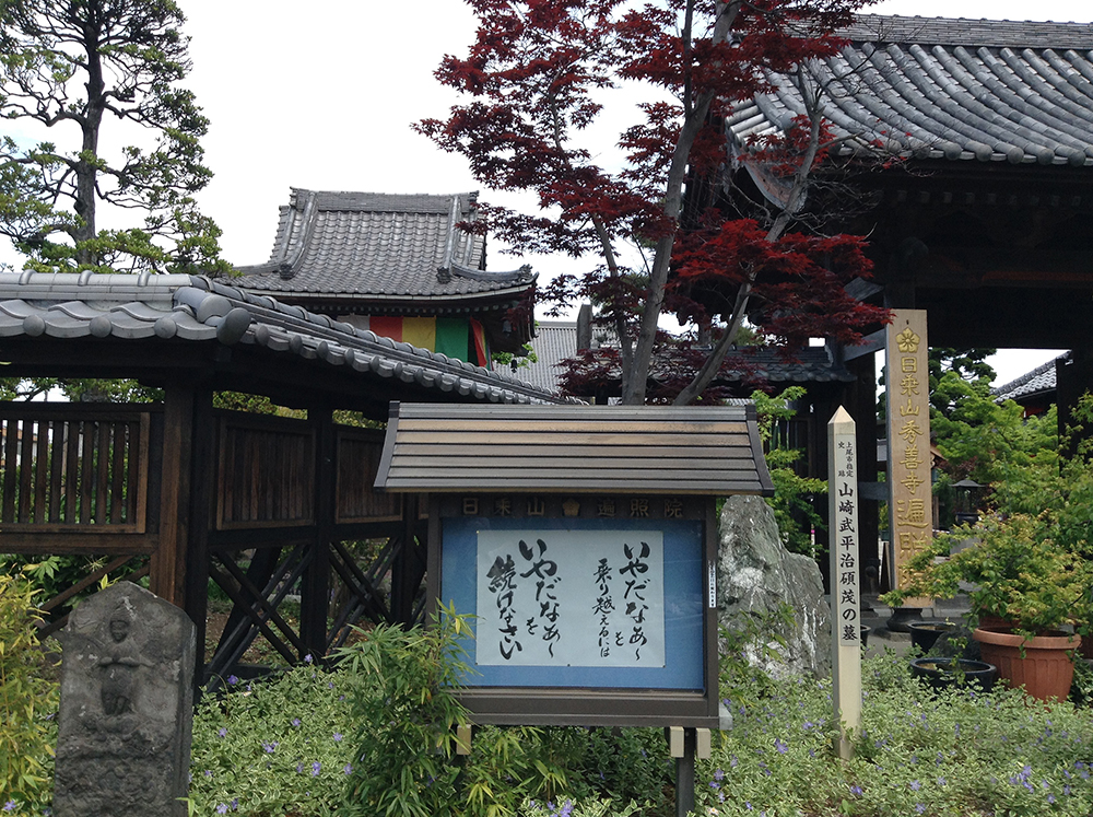 f:id:blepharisma:20160201085210j:image