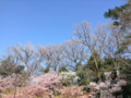 20160317083710