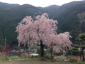 20160405083131