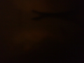 20160513101424