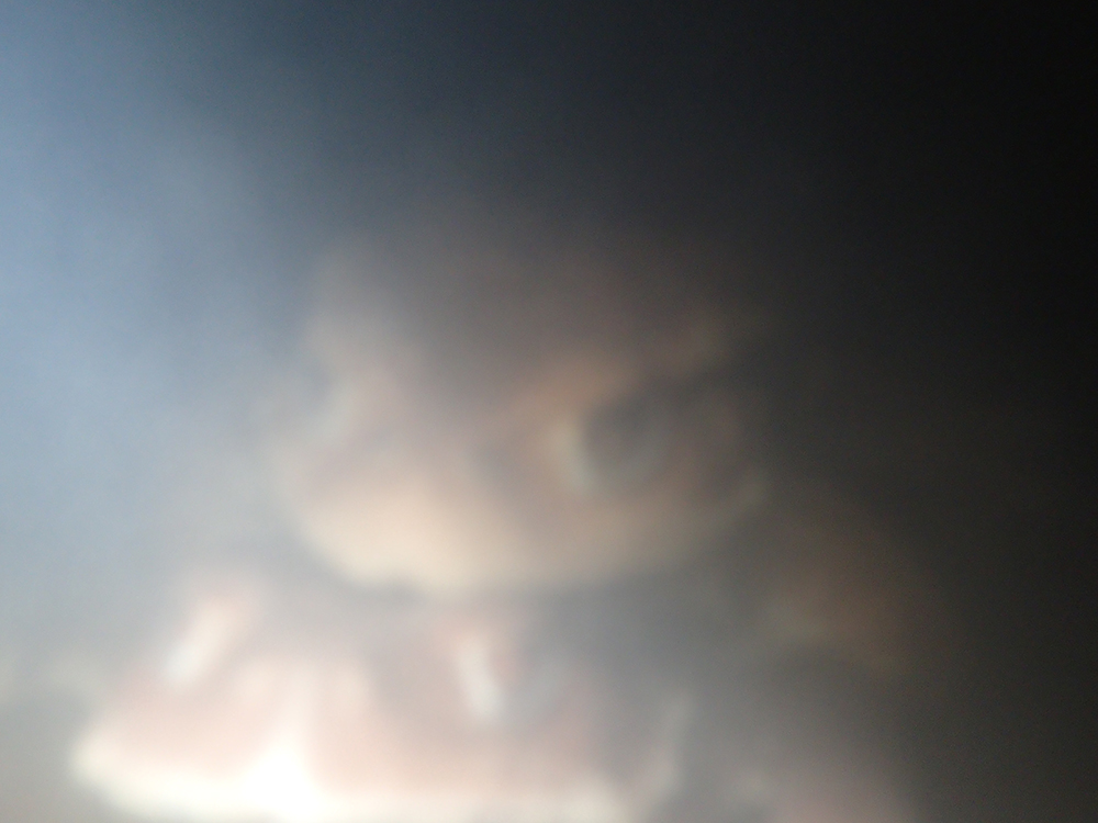 f:id:blepharisma:20160515140941j:image