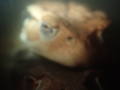 20160517115801