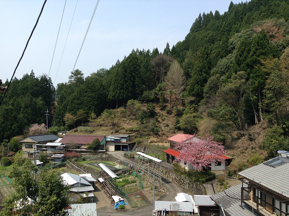 f:id:blepharisma:20160921122232j:image