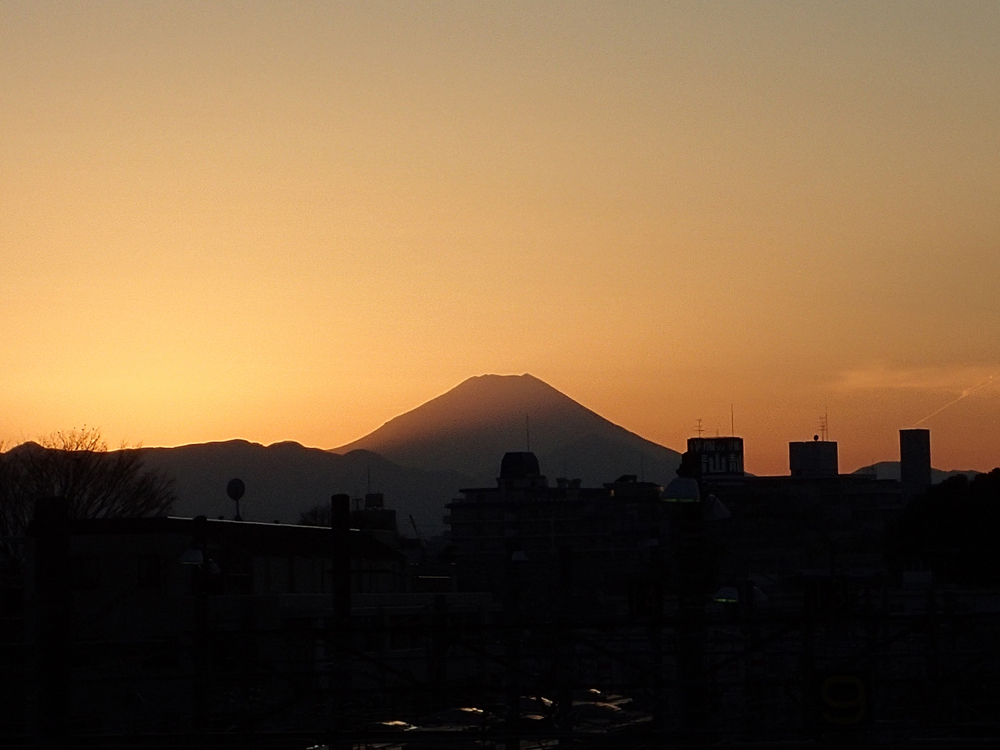 f:id:blepharisma:20161230130603j:image