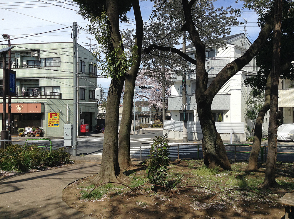 f:id:blepharisma:20170220092637j:image