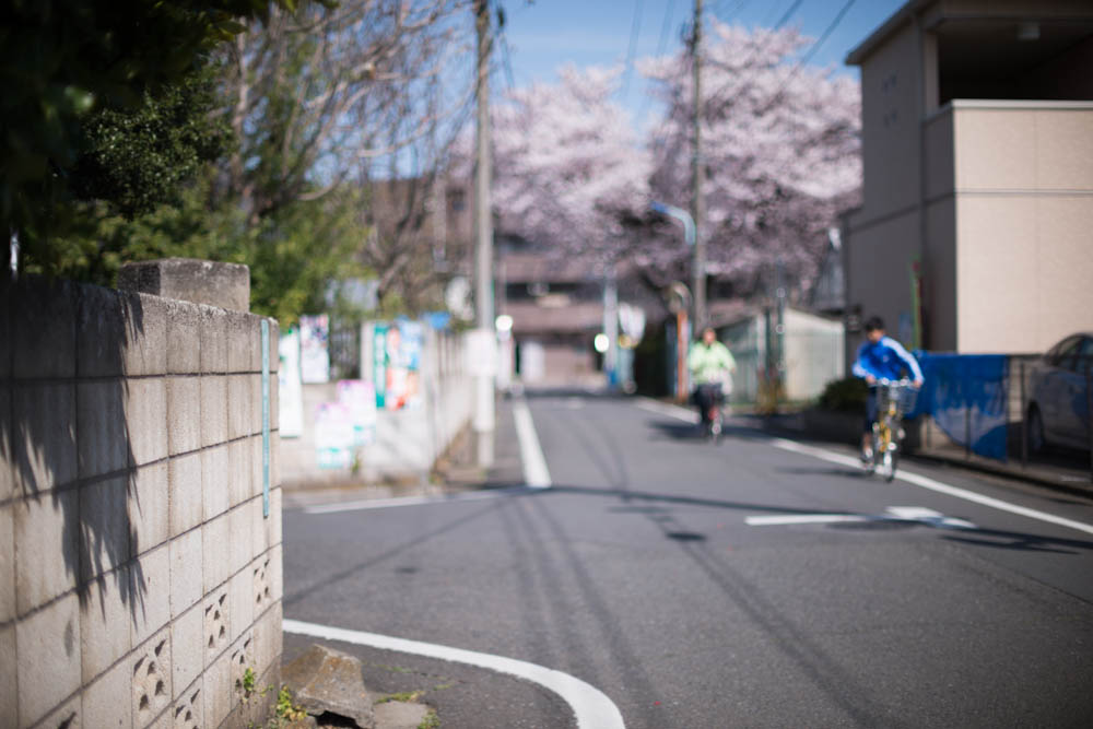 f:id:blepharisma:20170313091343j:image