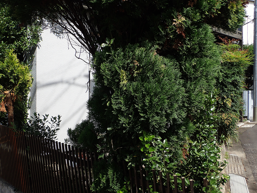 f:id:blepharisma:20171021093424j:image f:id:blepharisma:20171021093424j:image