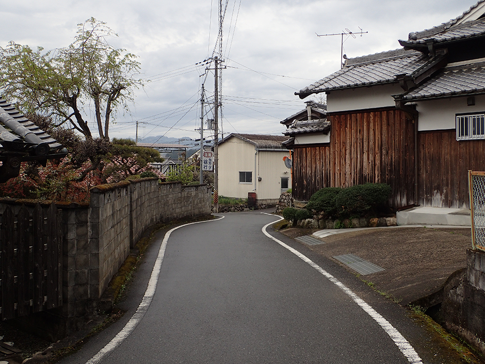 f:id:blepharisma:20180119130832j:image