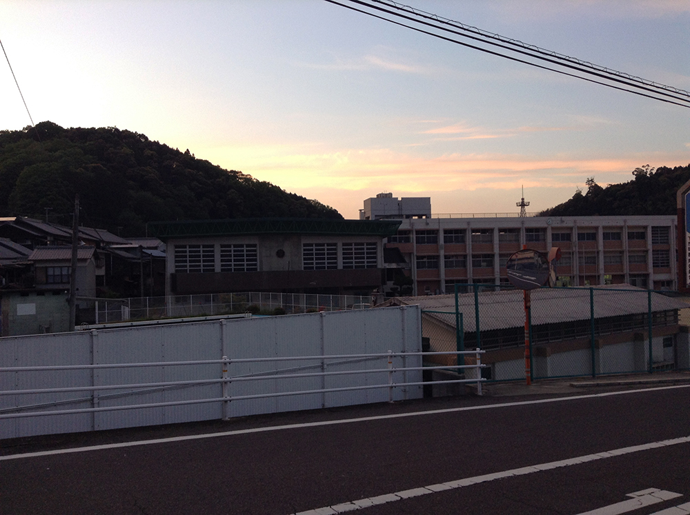 f:id:blepharisma:20180728110350j:image