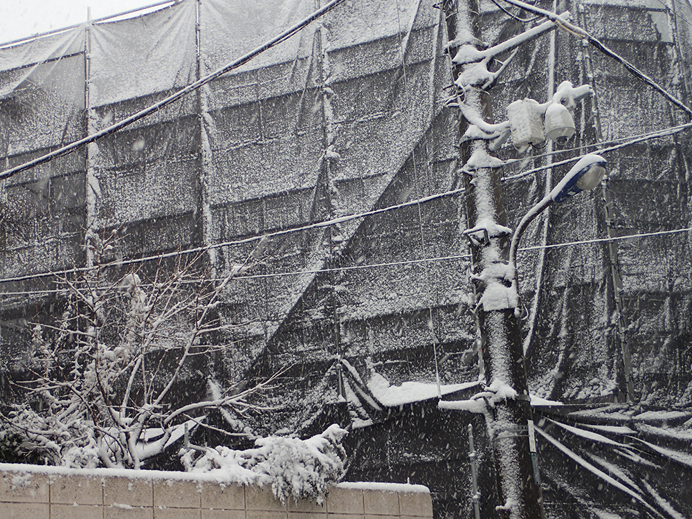 f:id:blepharisma:20180728111127j:image