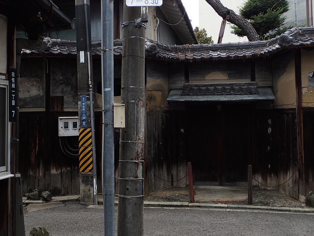 f:id:blepharisma:20181121085248j:plain