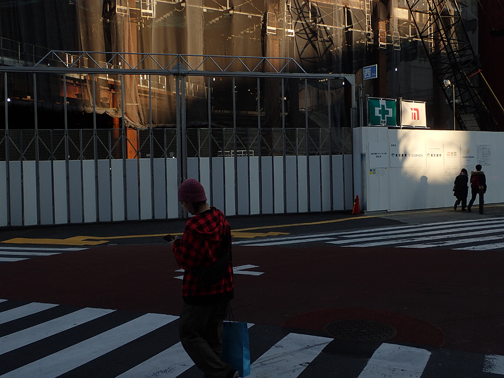 f:id:blepharisma:20181123062611j:plain
