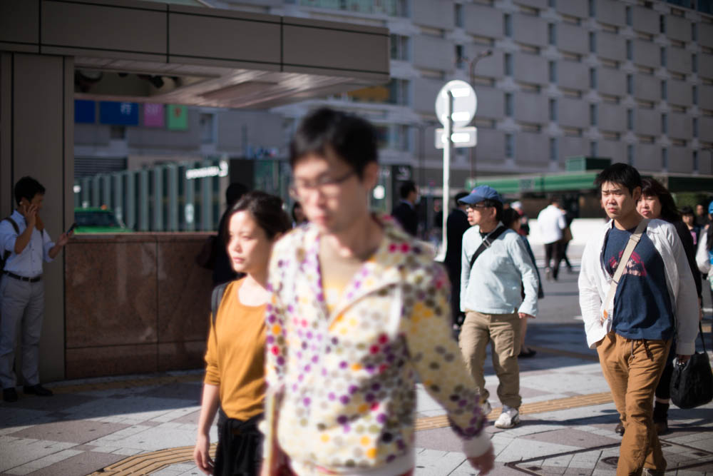 f:id:blepharisma:20190109092257j:plain