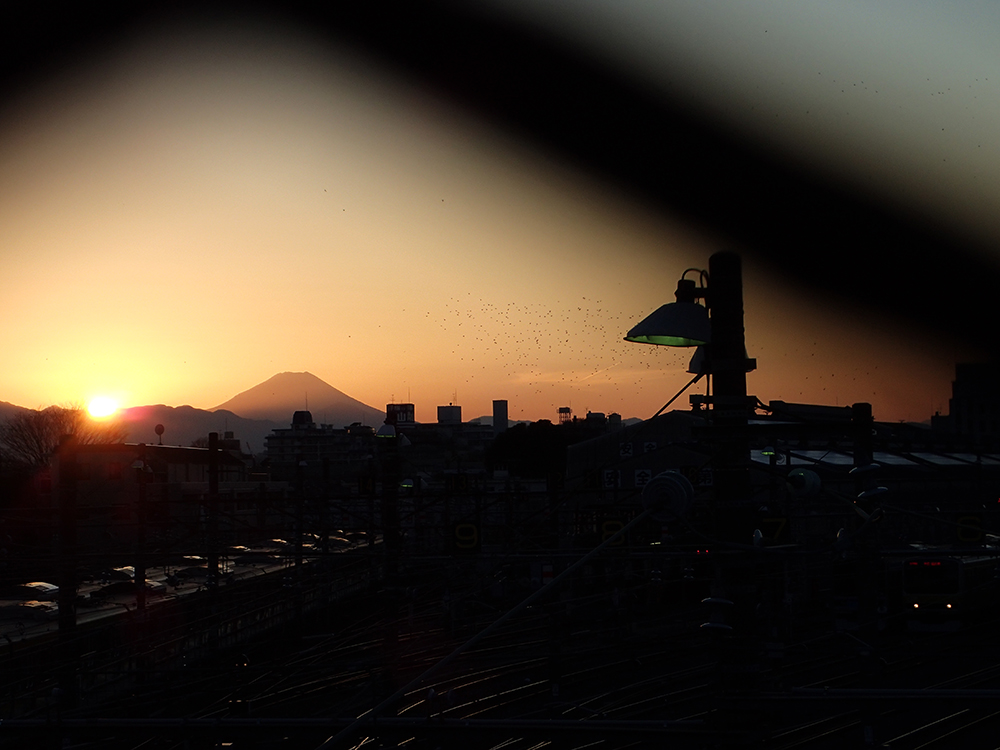 f:id:blepharisma:20190313125753j:plain