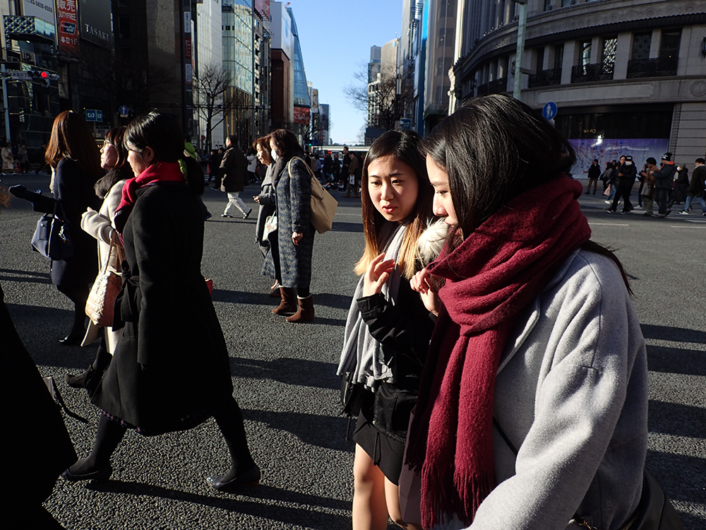 f:id:blepharisma:20190326102232j:plain