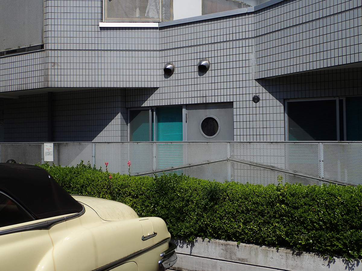 f:id:blepharisma:20190603134529j:plain