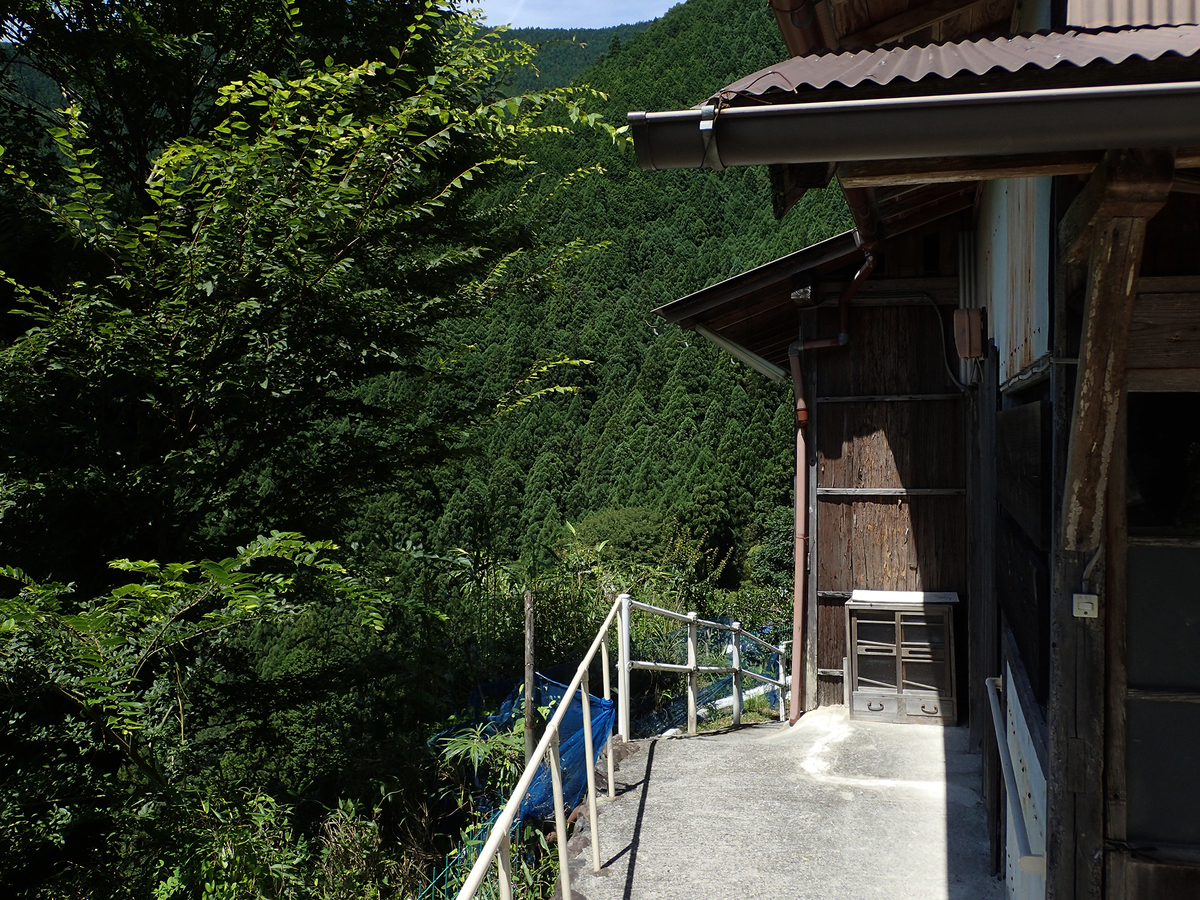 f:id:blepharisma:20190615050840j:plain
