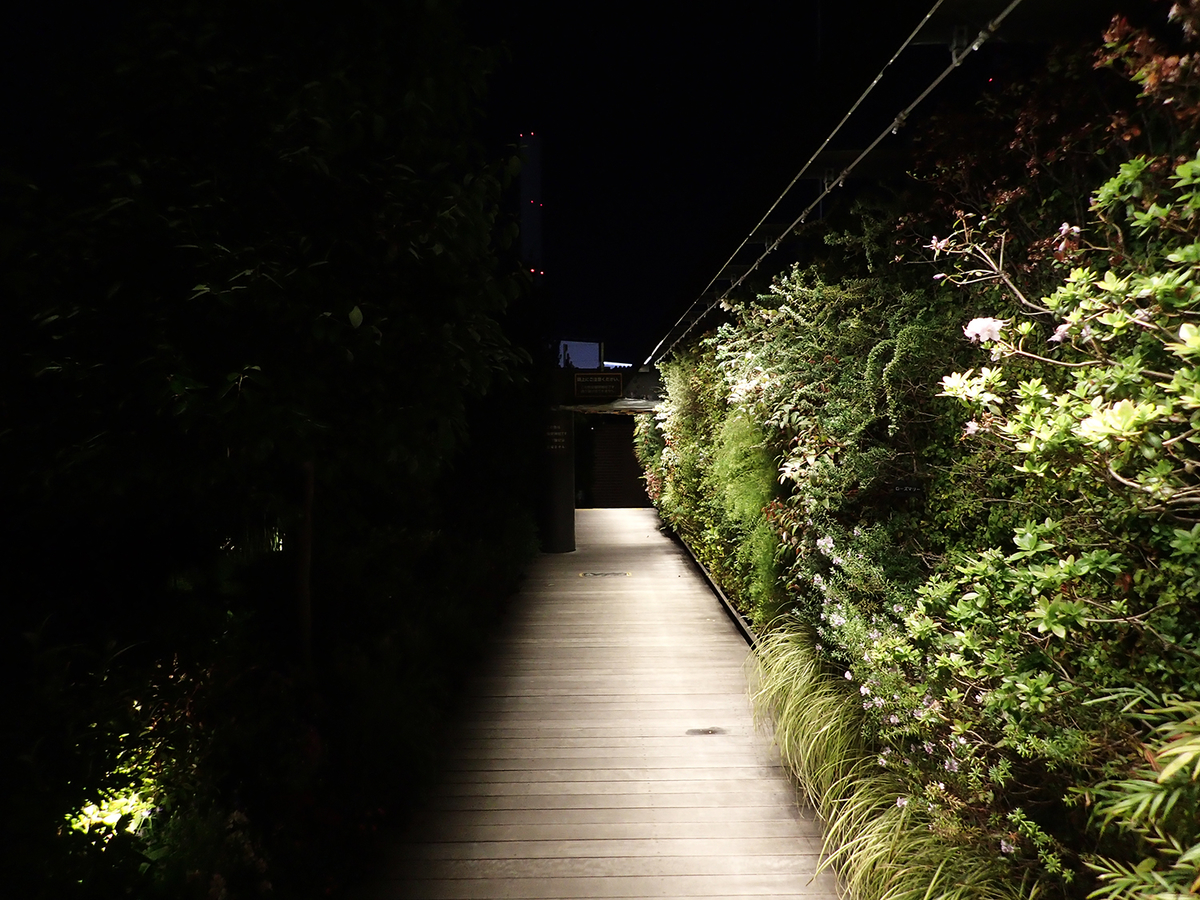 f:id:blepharisma:20190705083604j:plain