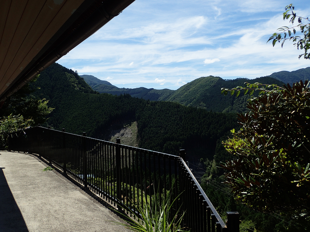 f:id:blepharisma:20190707090631j:plain