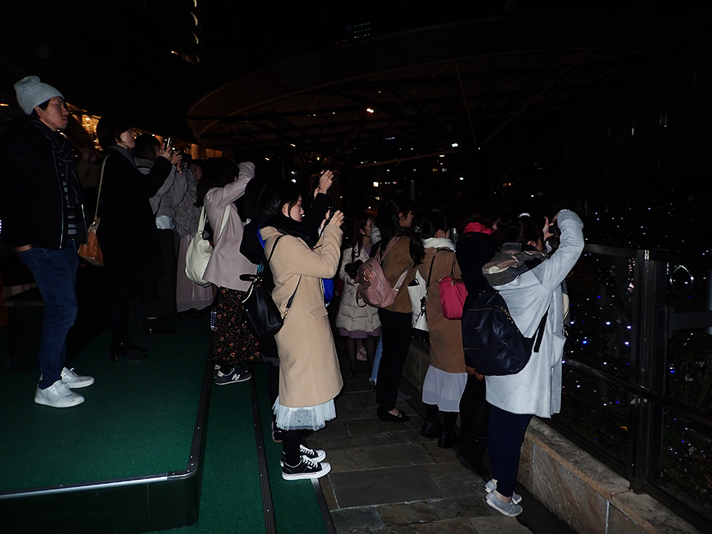 f:id:blepharisma:20190722115048j:plain