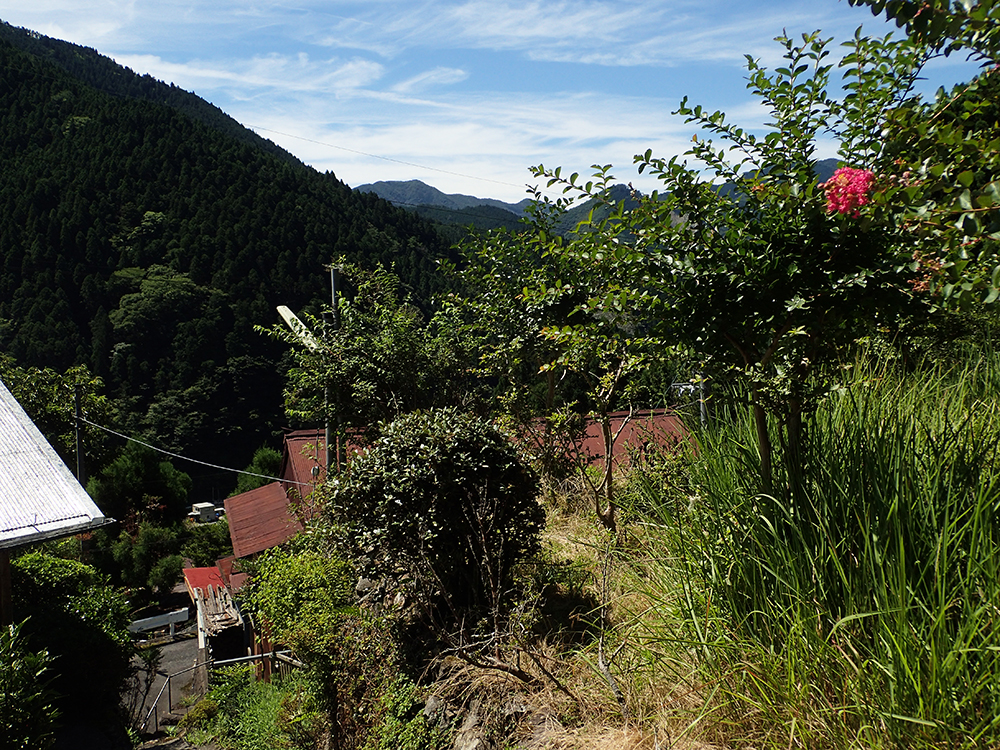f:id:blepharisma:20190727090610j:plain