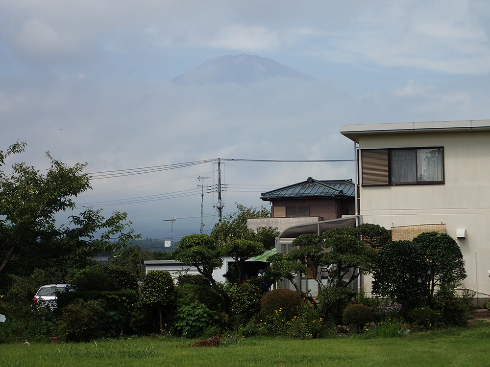 f:id:blepharisma:20190729060309j:plain