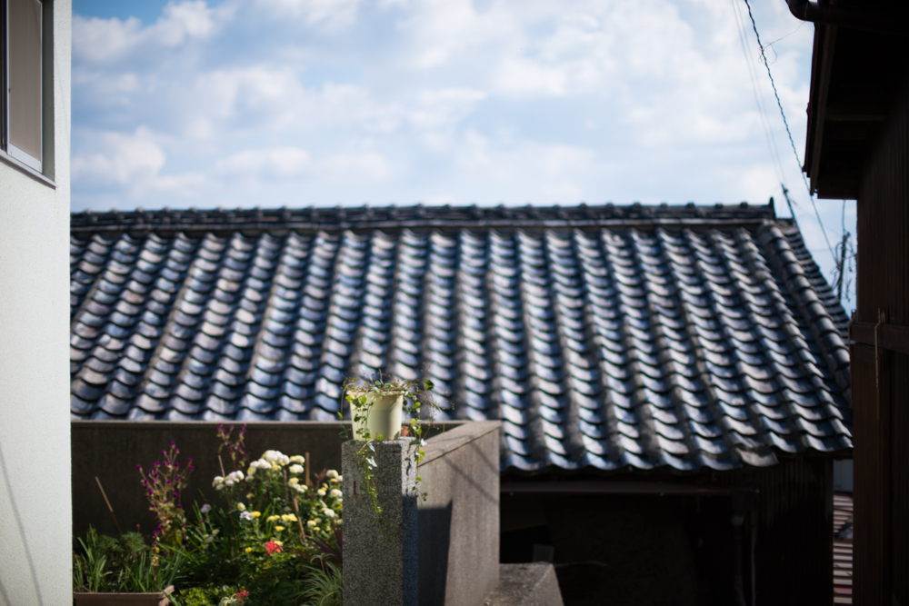 f:id:blepharisma:20190731095508j:plain f:id:blepharisma:20190731095508j:plain