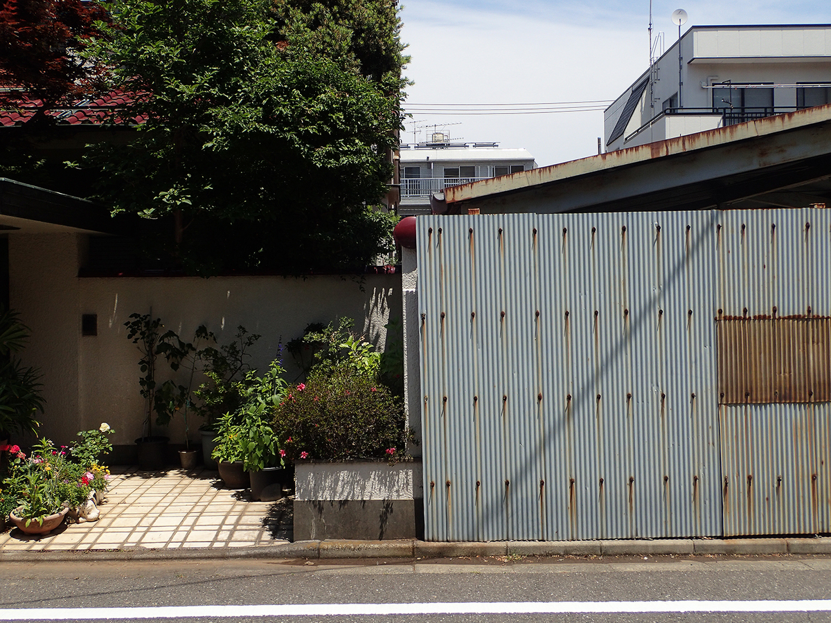 f:id:blepharisma:20190802111243j:plain