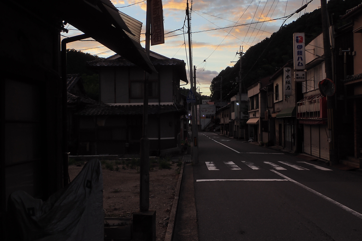 f:id:blepharisma:20190919085628j:plain