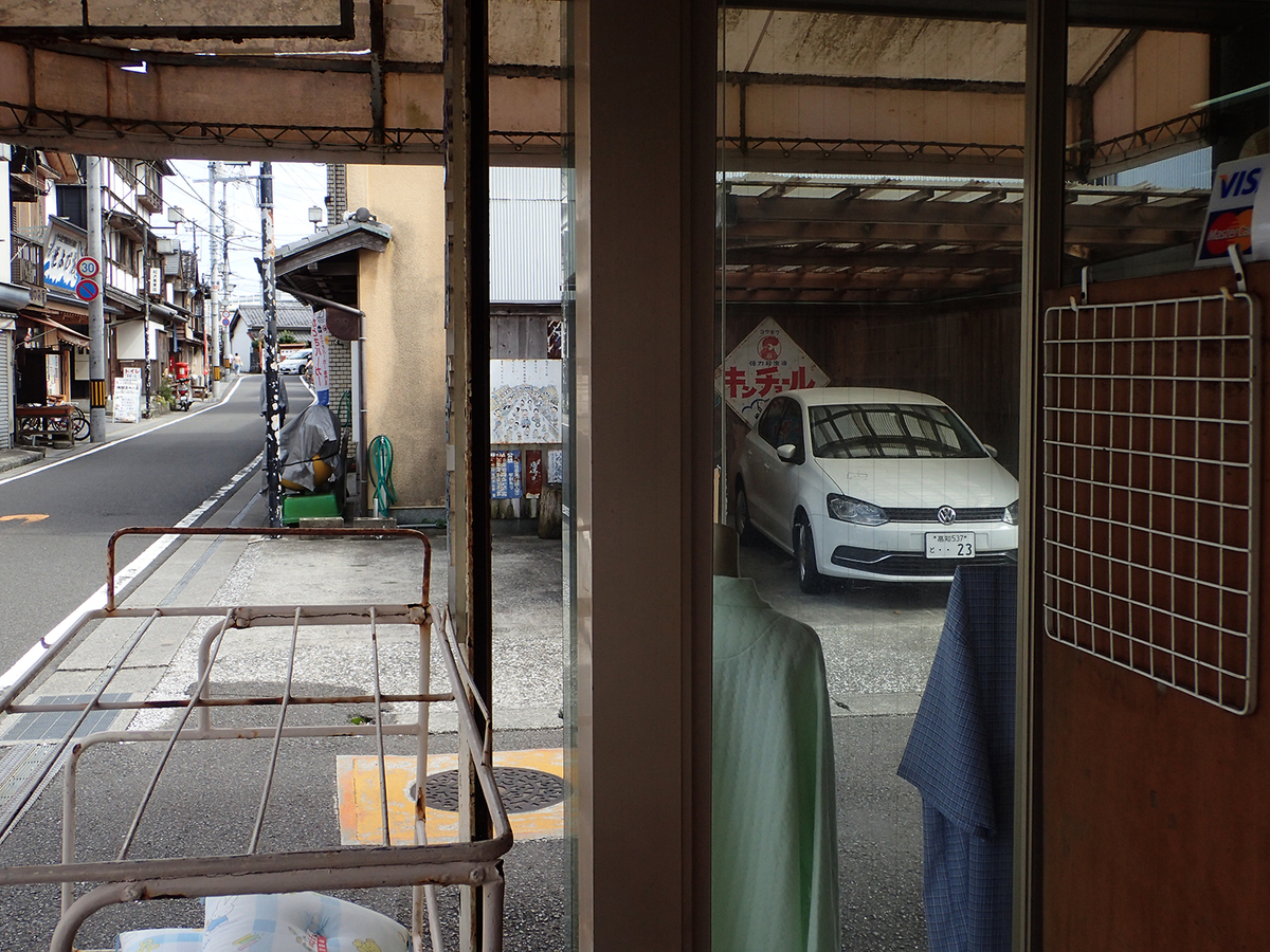 f:id:blepharisma:20190927135143j:plain