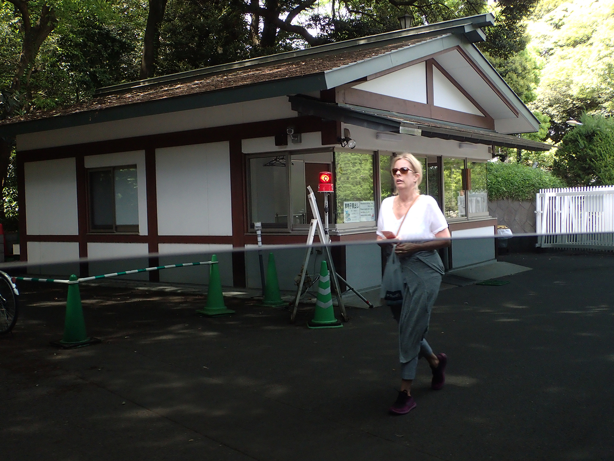 f:id:blepharisma:20191009130428j:plain