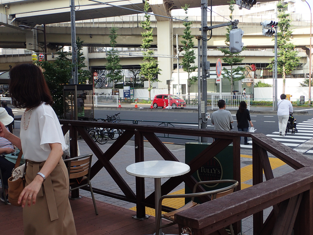 f:id:blepharisma:20191013061120j:plain