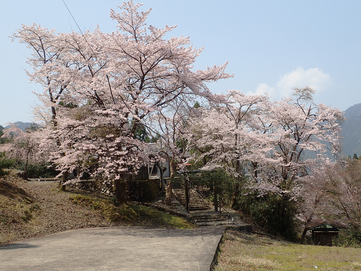 f:id:blepharisma:20191027094614j:plain f:id:blepharisma:20191027094614j:plain