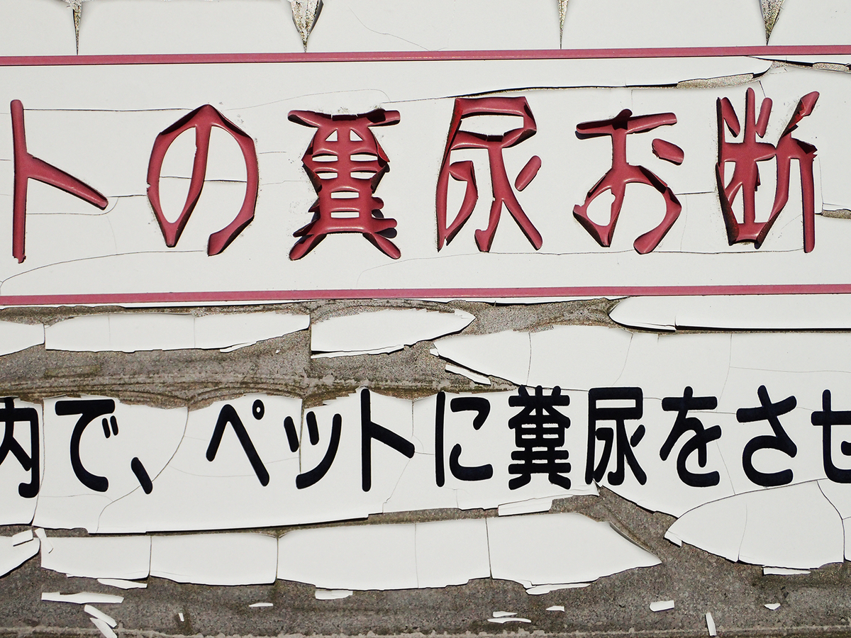 f:id:blepharisma:20191029125858j:plain