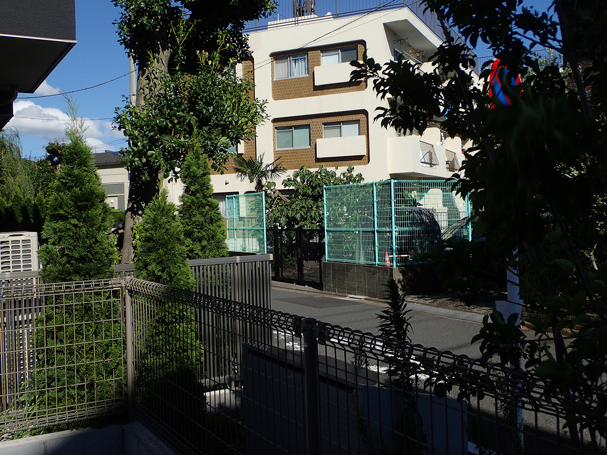 f:id:blepharisma:20200611111602j:plain