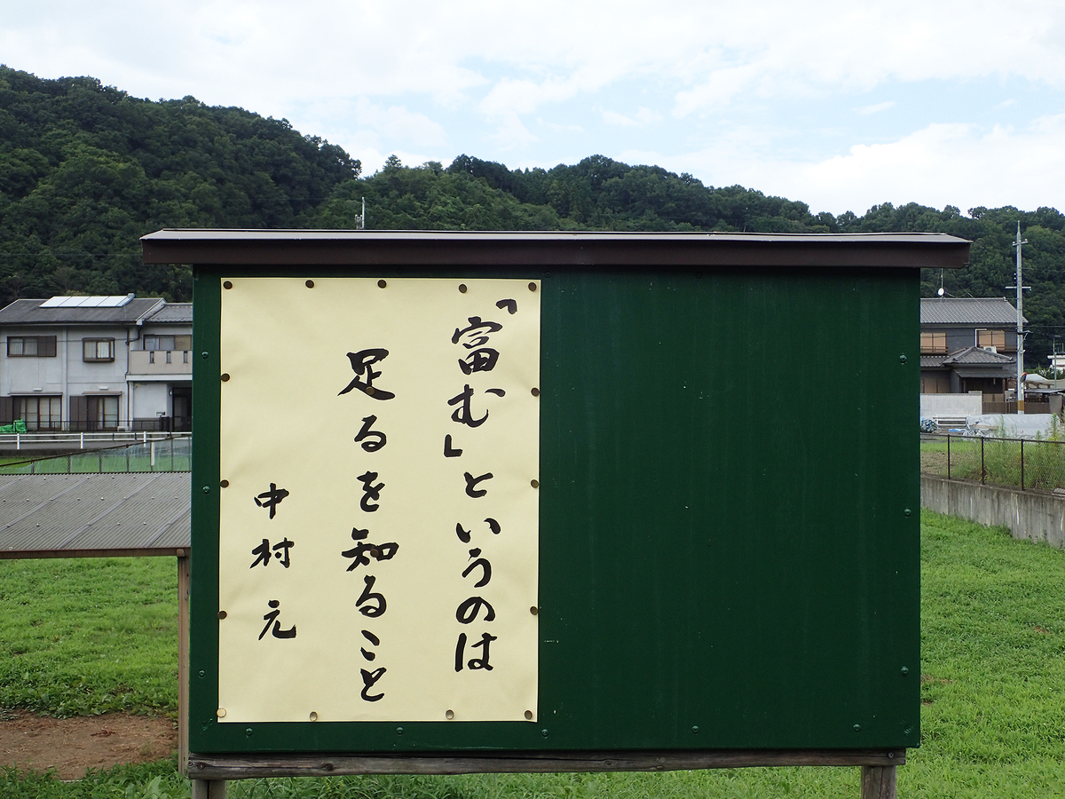 f:id:blepharisma:20200901134644j:plain
