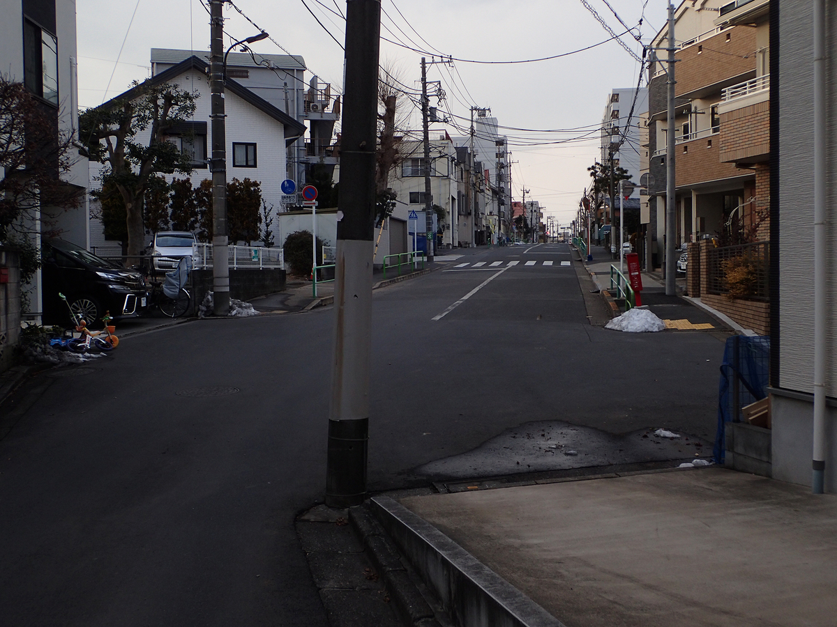 f:id:blepharisma:20200915085010j:plain