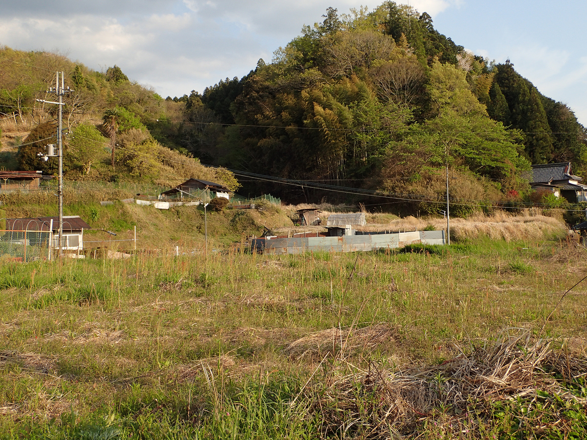f:id:blepharisma:20201108141344j:plain