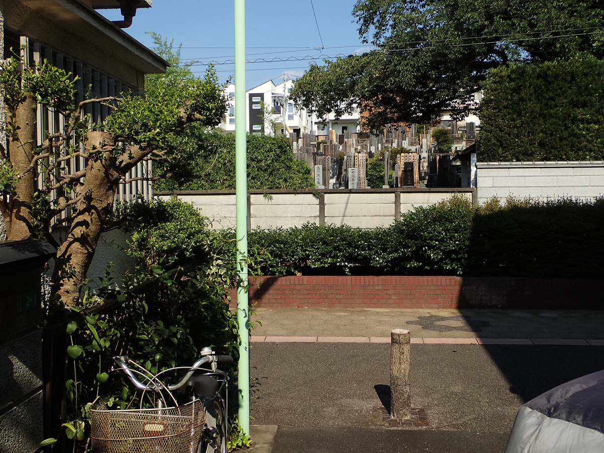 f:id:blepharisma:20201113152519j:plain