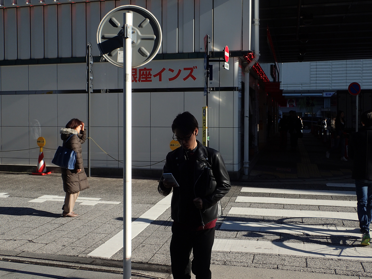 f:id:blepharisma:20201121215408j:plain