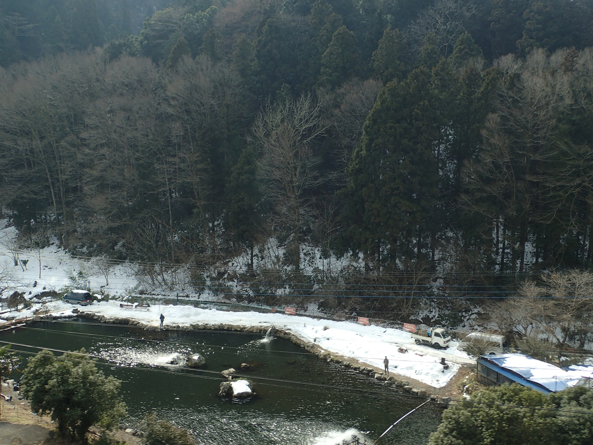 f:id:blepharisma:20201208091449j:plain